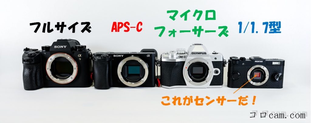 オールドレンズ入門-④】格安の超望遠！？MINOLTA RF ROKKOR 500mm F8 